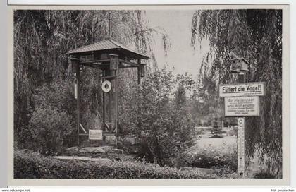 (3958) AK Schlettau, Vogelschutzstation 1936