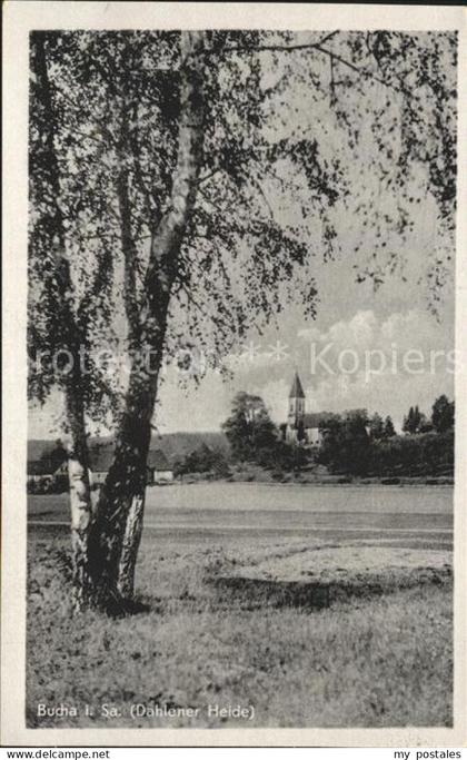 Bucha Dahlen Dahlener Heide