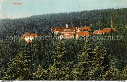 Carolagruen Schoenheide Erzgebirge Panorama