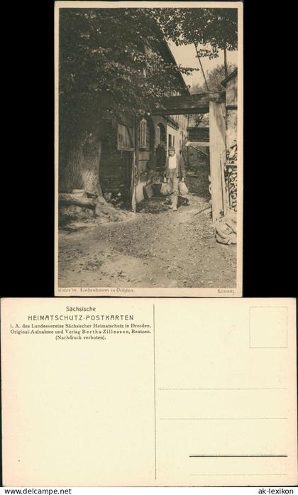 Döhlen-Kubschütz  unter'm Lindenbaum junger Mann - Oberlausitz 1928