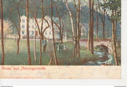 Gruß aus Herzogswalde Familie gl1902 #86.580