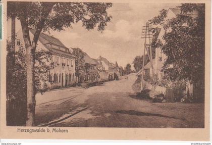 Herzogswalde bei Mohorn Teilansicht gl1928 #86.573