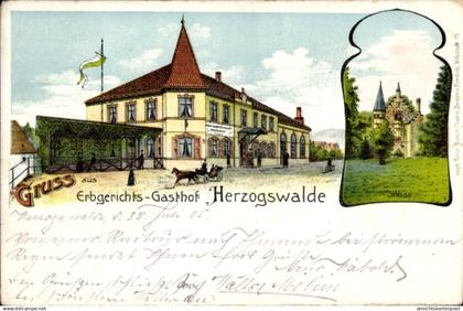 Lithographie Herzogswalde Wilsdruff Sachsen, Erbgerichts-Gasthof, Schloss