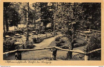 Obstweinschänke Rötha, südl. Leipzigs Postkarte AK