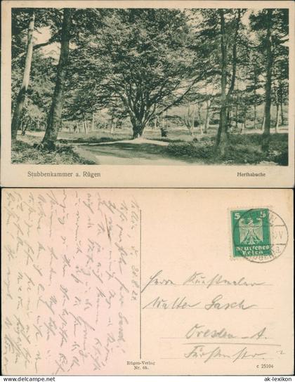 Ansichtskarte Stubbenkammer-Sassnitz Saßnitz Waldweg - Herthabuche 1924