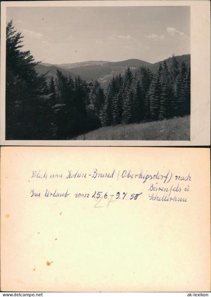 Schellerhau-Altenberg (Erzgebirge)  Hohen-Brand  Schellerhau 1950 Privatfoto