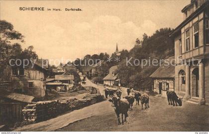 Schierke Harz Dorfstrasse