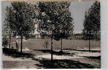 Schifferstadt Schwanenweiher