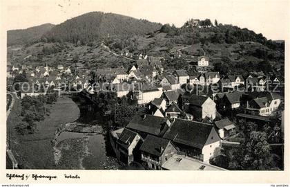 Schiltach Panorama
