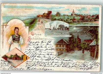 13513607 - Schoenberg Holstein