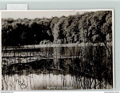 40010644 - Schoenwalde am Bungsberg