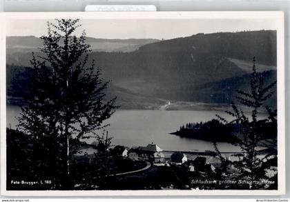 51791960 - Schluchsee