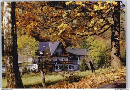 50411463 - Schmallenberg