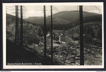 AK Schmiedeberg / Erzgeb., Blick vom Berg auf Gasthaus Buschmühle