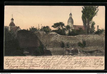 AK Schmölln, An der alten Stadtmauer