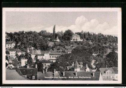 AK Schmölln, Blick zum Pfefferberg
