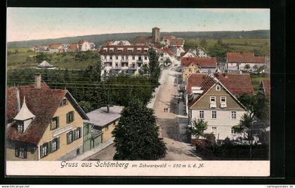 AK Schömberg /Schwarzwald, Ortsansicht, Sanatorium Schömberg