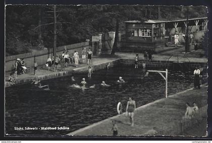 AK Schöna / Sächs. Schweiz, Waldbad