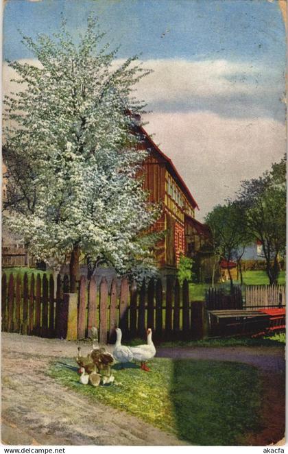 CPA AK Schona - Haus - House GERMANY (1080147)