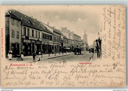 13261688 - Schoenebeck Elbe