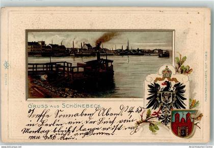 13502549 - Schoenebeck Elbe