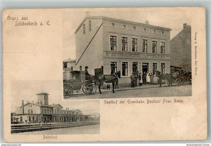 13664255 - Schoenebeck Elbe