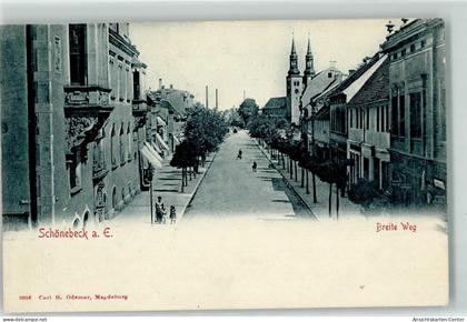 13923638 - Schoenebeck Elbe