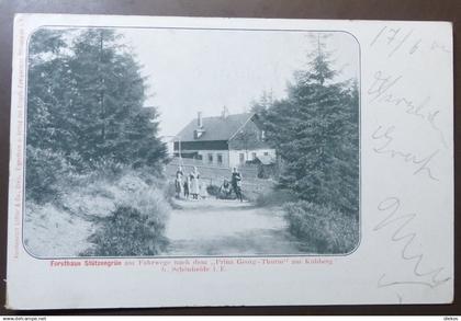 Forsthaus Stützengrün Schönheide im Erzgebirge   um 1900    #AK7016