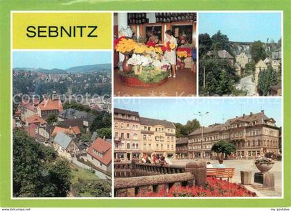 Sebnitz Blick auf die Stadt Kunstblume Sebnitz Teilansicht mit Viadukt Markt