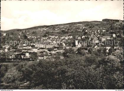 Sebnitz Panorama