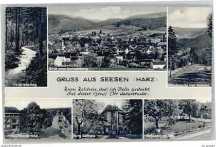 Seesen Harz Seesen Forellenstieg Jacobsonstrasse Hindenburgplatz Burg Sehusa