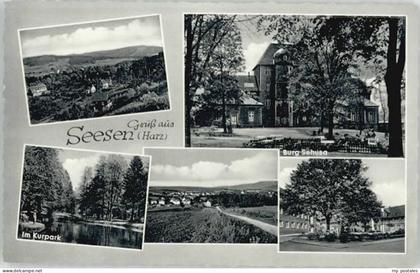 Seesen Harz Seesen Kurpark Burg Sehusa