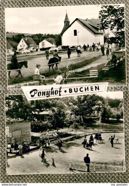 Buchen Siegen Ponyhof