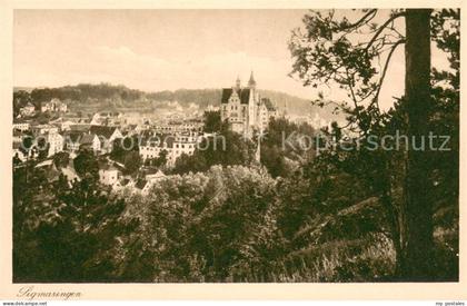Sigmaringen Panorama