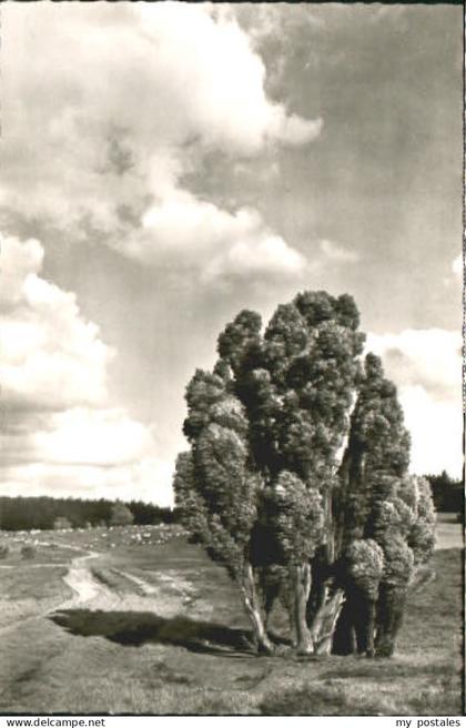 Soltau Overhaverbeck