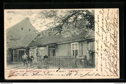 AK Schönewalde /Sonnewalde, Gasthof von Moritz Strauch