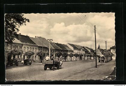 AK Sonnewalde /N.-L., Markt mit Pferdewagen