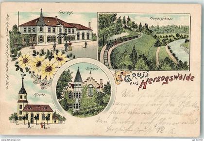 01723 O8211 Herzogswalde 1901 Lithographie Gasthaus Triebischtal Eisenba... - 13632011