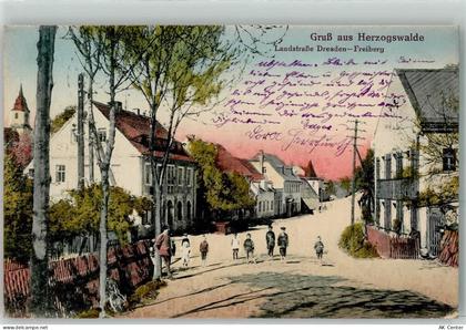 01723 O8211 Herzogswalde - Landstraße Dresden Freiberg Gruss Kinder Fahr... - 13473449