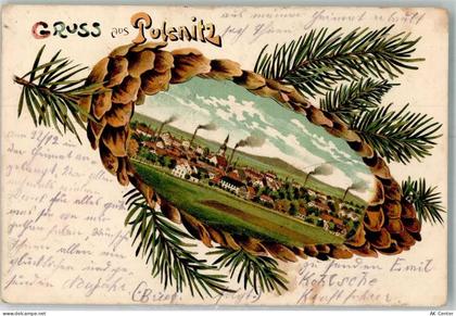 01896 O8514 Pulsnitz 1918 Lithographie Tannenzapfen Pulsnitz - 13642281