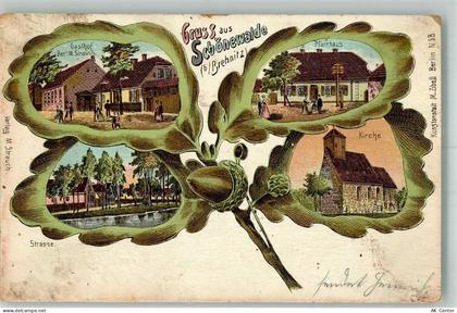 03249 O7981 Schönewalde , NL Gebrauchsspuren Lithographie Eichenblatt Ga... - 13643464