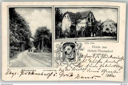 16540 O1406 Hohen Neuendorf 1905 - Waldallee Villa Otto Dalmatiner - 13665389