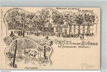 16547 O1403 Birkenwerder Lithographie Gasthaus zur Briese Gartenwirtscha... - 13668448