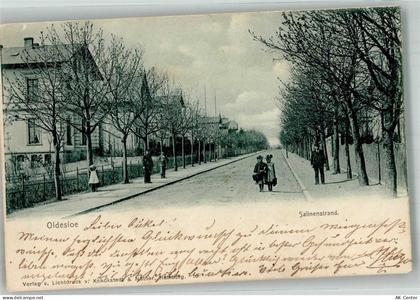 23843 W2060 Bad Oldesloe 1902 - Salinenstrand - 13667766