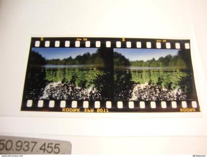 49565 W4550 Bramsche , Hase KEINE AK Dia - 50937453