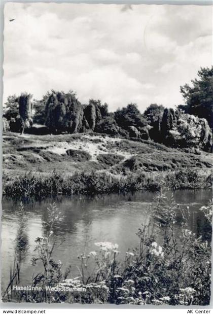 49740 W4473 Haselünne - Wacholderhain - 10053975