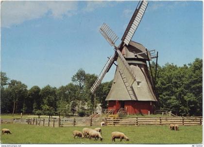 53879 W5350 Euskirchen 1985 - Euskirchen, Windmühle aus Cantrup, Freilic... - 20026381