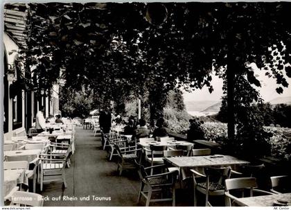65385 W6220 Niederwald , Jagdschloß - Waldhotel Jagdschloß Niederwald Te... - 11019726