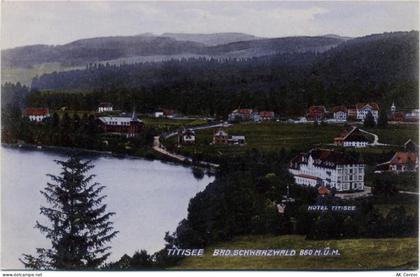 79822 W7820 Titisee-Neustadt um 1910/20 - Titisee-Neustadt, Badischer Sc... - 20055417