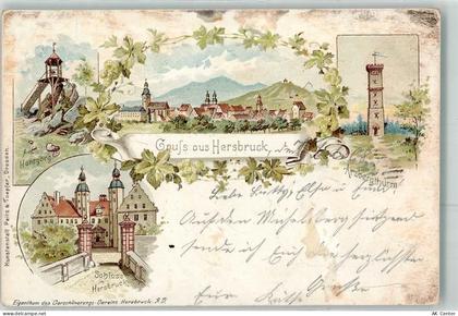 91217 W8562 Hersbruck 1898 Gebrauchsspuren Schloss Hersbruck Arzbergturm... - 13482928